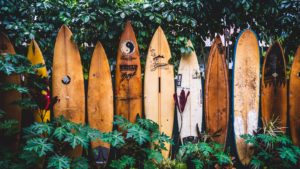 Wooden surfboards stood up in a row surrounded by greenery.