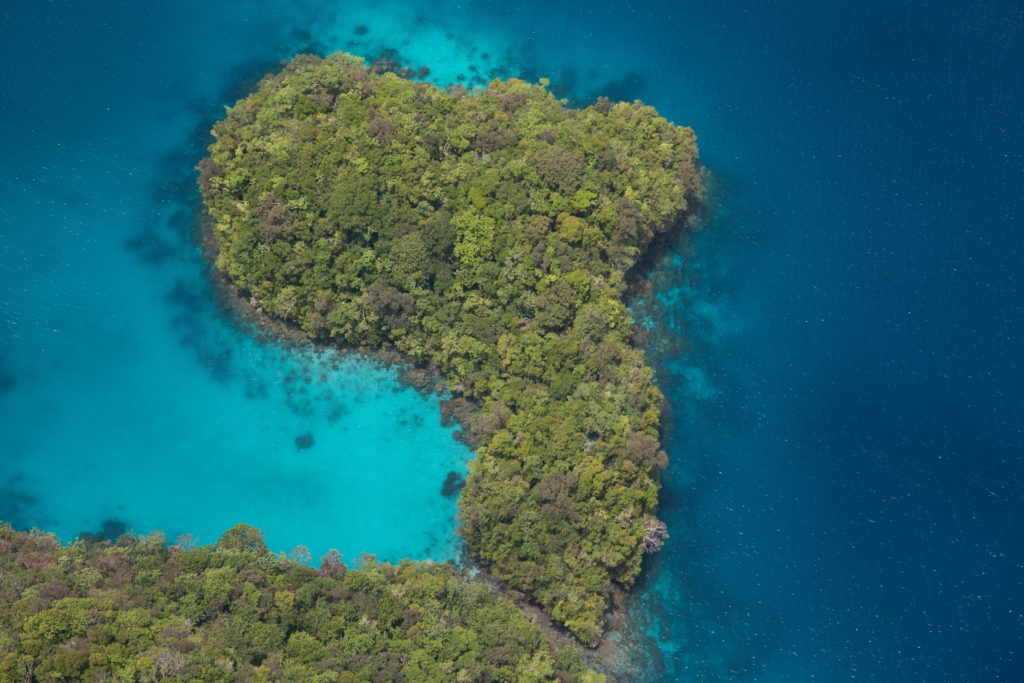 Birds eye view of an island in Palau surrounded by blue sea.