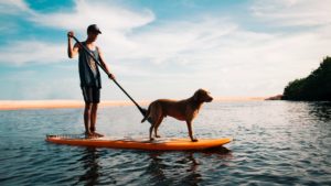 A man and a dog stood on a paddleboard on the water.