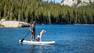 A woman paddle boarding on a lake with a white and grey dog stood on the front of the board.